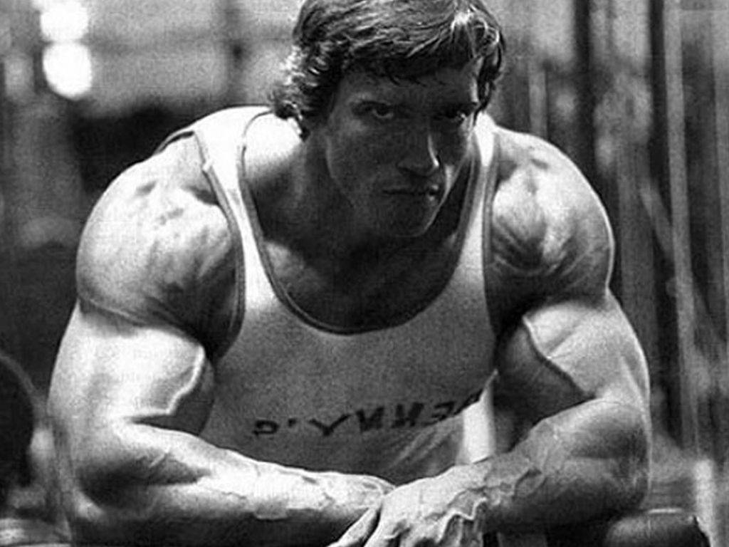 Arnold 桌布 壁紙 — 一個黑白特寫，一個肌肉發達的男人穿著背心，在健身房環境中專注地凝視鏡頭。