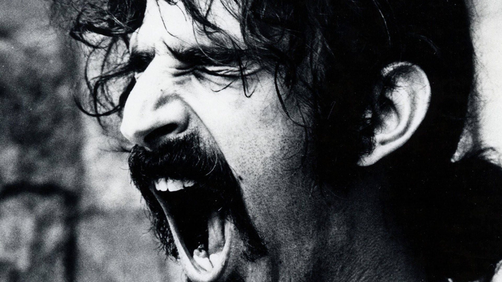 Zappa 桌布 壁紙 — 一個黑白特寫，一個頭髮凌亂、留著濃密鬍鬚的男人，帶著強烈情緒尖叫。