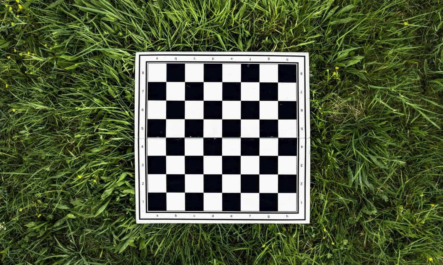 Chessboard 桌布 壁紙 — 一個黑白相間的棋盤放在充滿活力的綠色草地上，草地上點綴著小黃花。