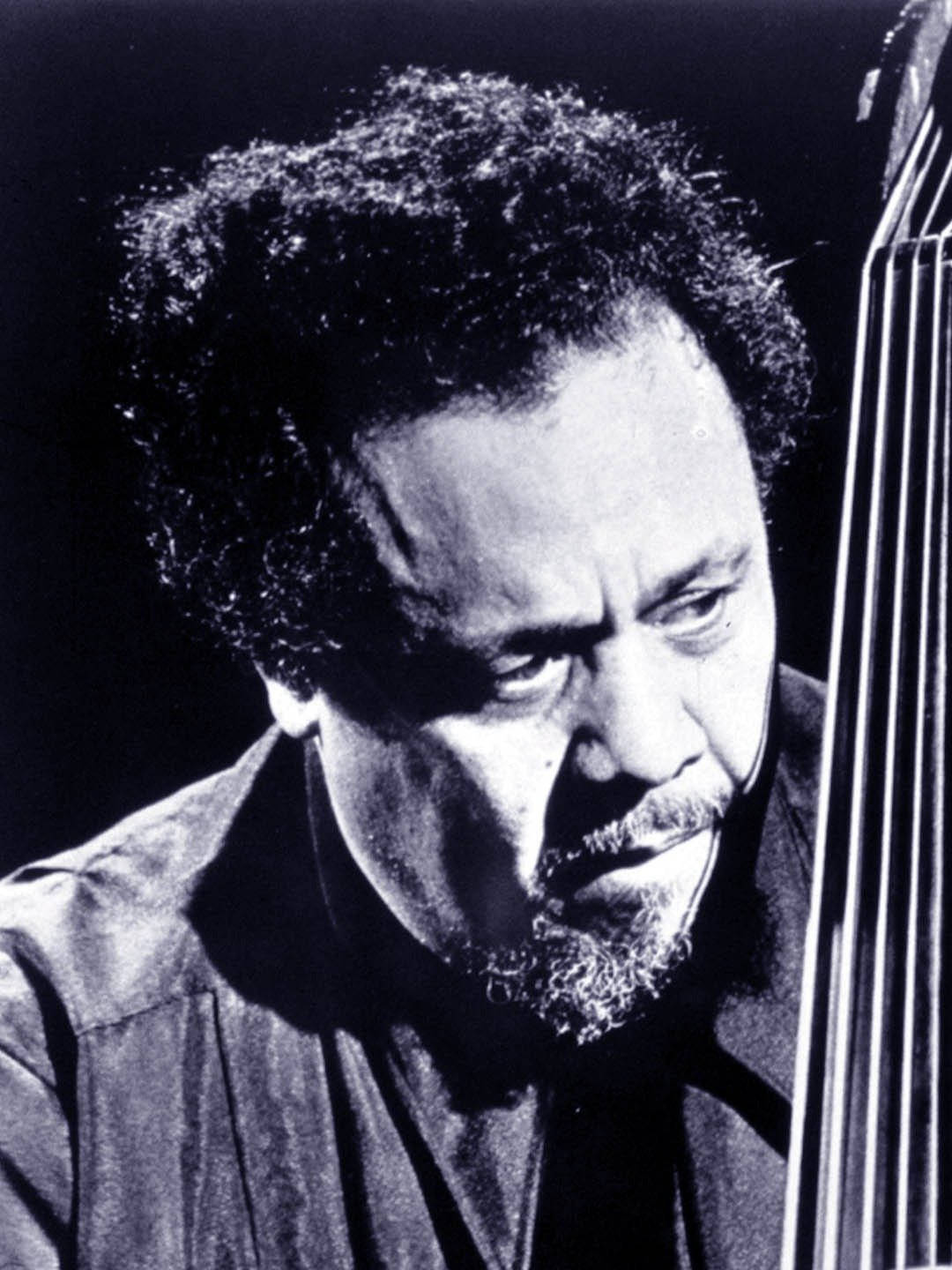 guitar player 桌布 壁紙 — 一個黑白肖像，一個捲髮鬍鬚的男人專注地彈奏弦樂器。
