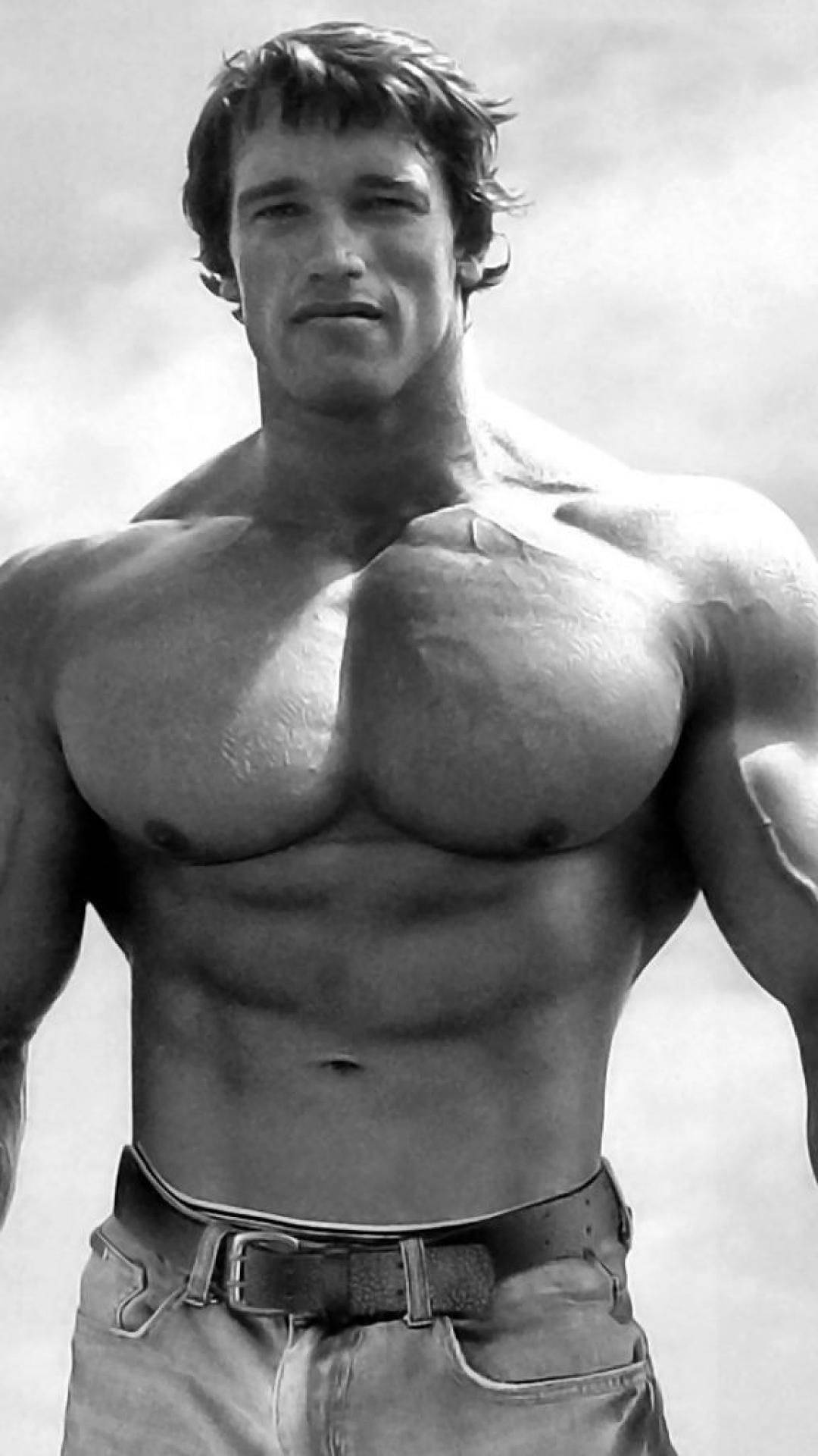 Arnold 桌布 壁紙 — 一個黑白肖像，一個肌肉發達的男人，腹肌和胸肌線條分明，自信地站在多雲的天空下。