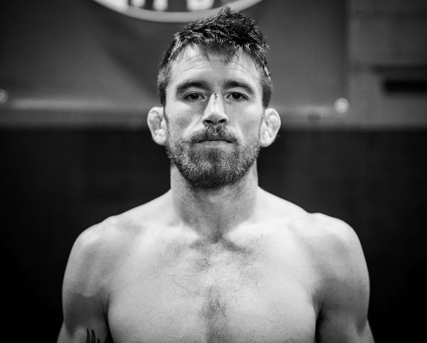 UFC 桌布 壁紙 — 一個黑白肖像，展示一位留鬍子的肌肉男在健身房環境中專注地凝視鏡頭。