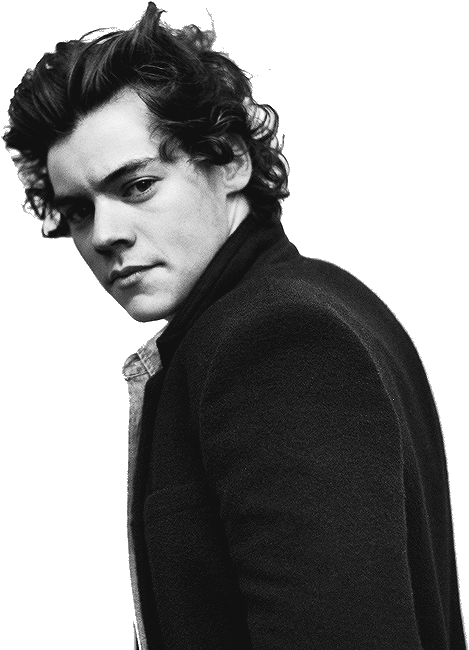 harry 桌布 壁紙 — 一個黑白肖像，年輕男子捲髮，嚴肅表情回頭望。