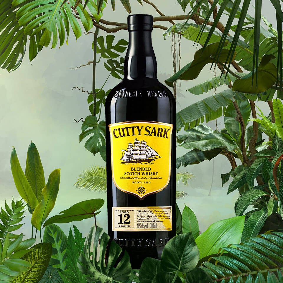 alcohol 桌布 壁紙 — 一個黑色 Cutty Sark 威士忌酒瓶，帶有黃色標籤，矗立在茂密的熱帶綠色植物中。