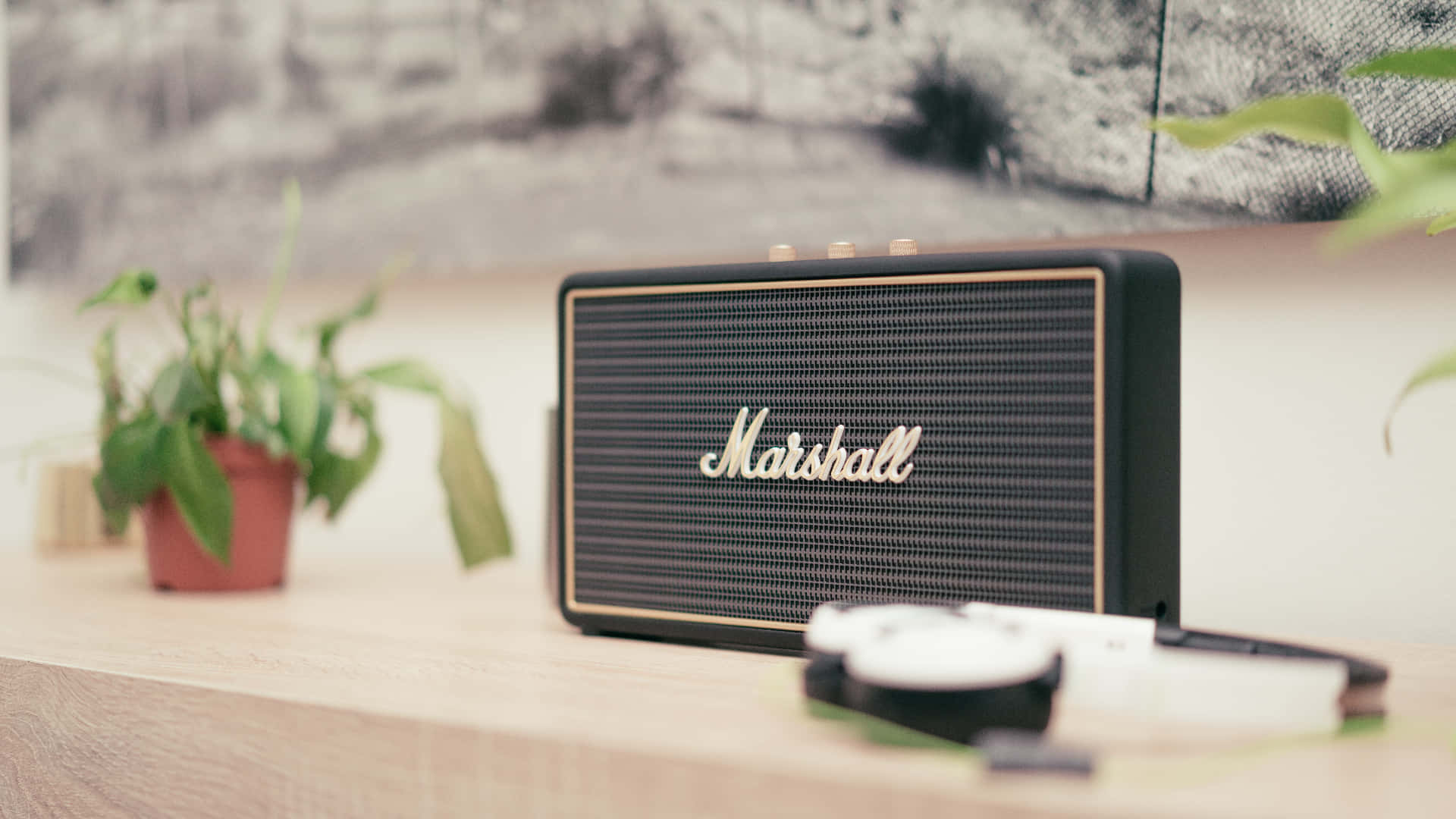Marshall 桌布 壁紙 — 一個黑色Marshall喇叭帶金色飾邊，放在木架上，旁邊有盆栽植物和耳機。