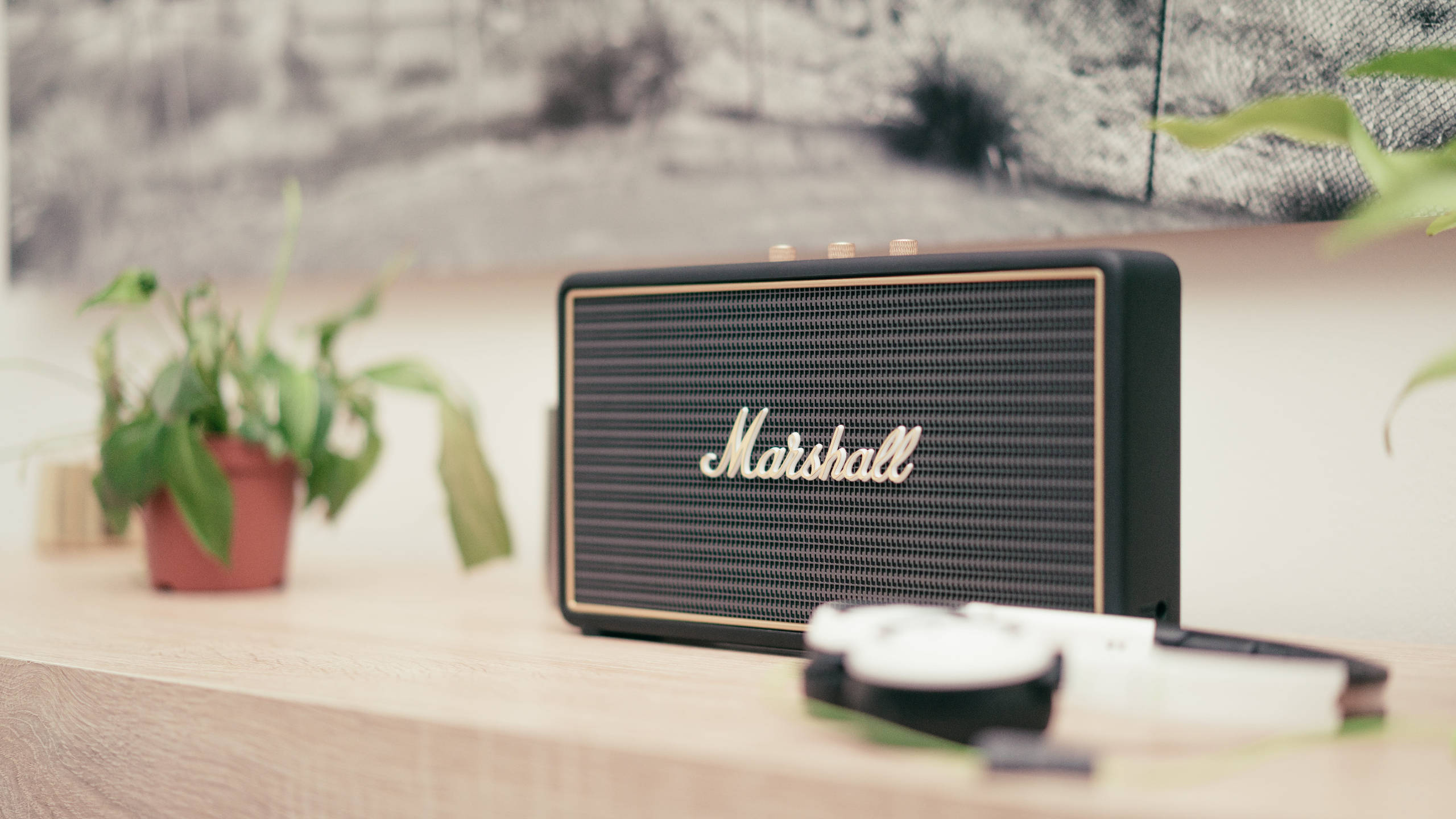 Marshall 桌布 壁紙 — 一個黑色Marshall喇叭帶金色飾邊，放在木架上，旁邊有一盆植物和白色耳機。