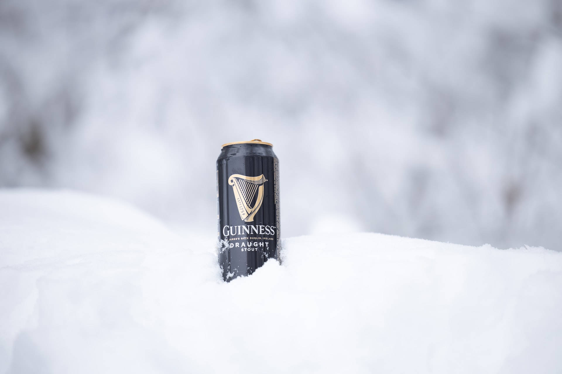 Beer 桌布 壁紙 — 一個黑色健力士啤酒罐直立在新鮮雪中，背景是模糊的冬天景色。
