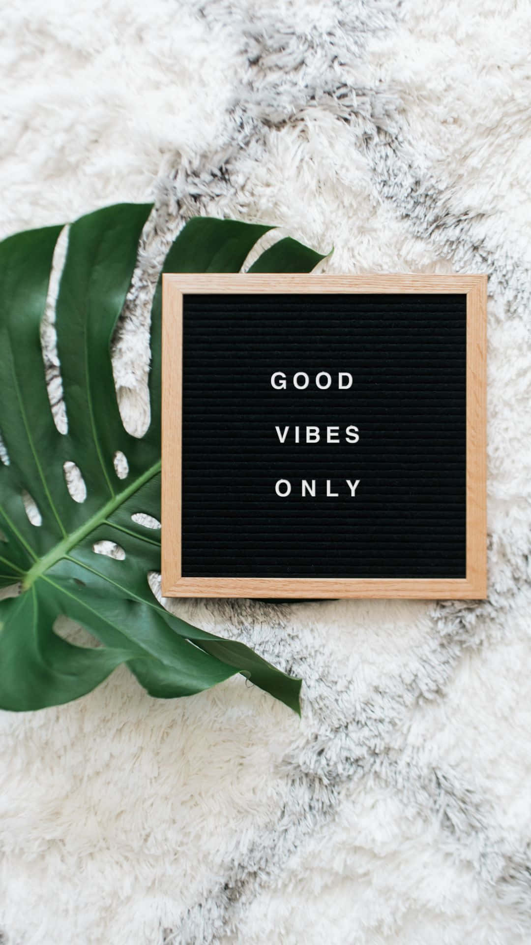 葉子 桌布 壁紙 — 一個黑色字母板，上面寫著「GOOD VIBES ONLY」，放在一張毛絨白色地毯上，旁邊是一片大的綠色龜背竹葉。