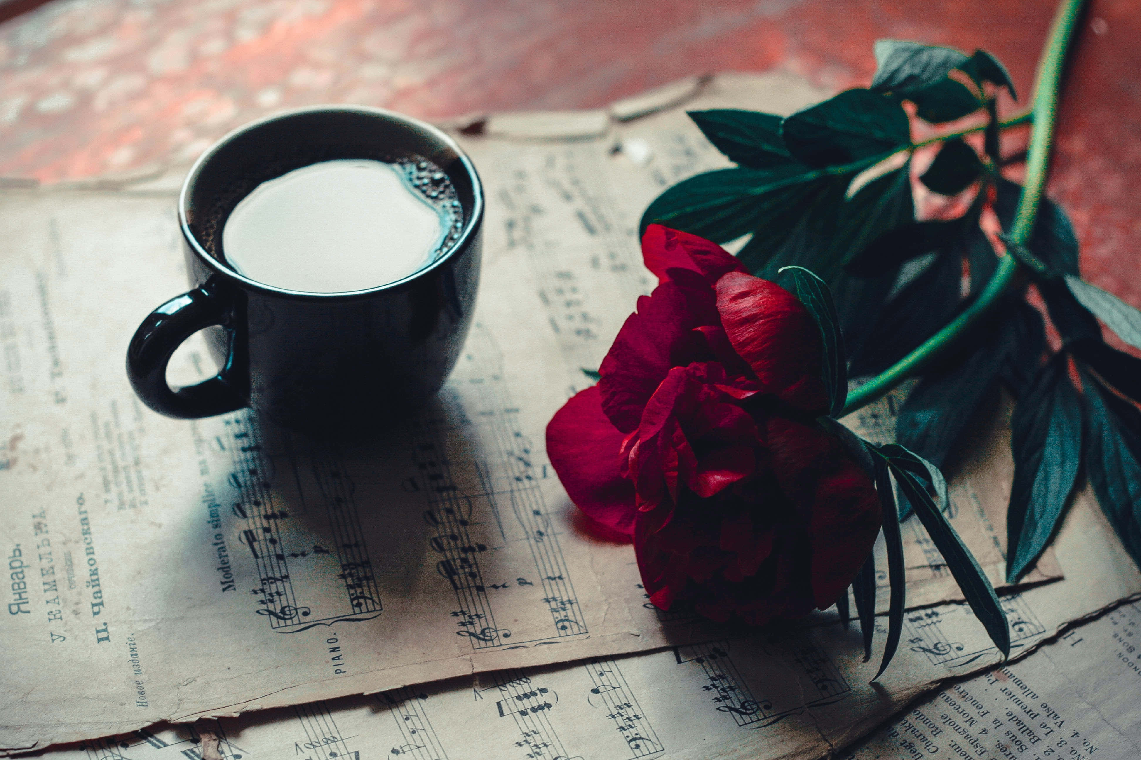 攝影 桌布 壁紙 — 一個黑色牛奶杯旁邊有一朵深紅色牡丹花，放在復古樂譜上，背景是溫暖的陶土色表面。