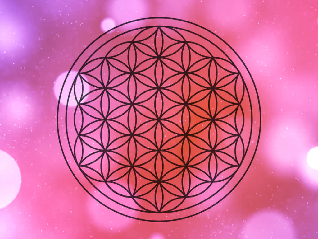 桌布 壁紙 — 一個黑色生命之花的幾何圖案，居中在柔和的粉紅和紫色散景背景上，帶有發光球體。