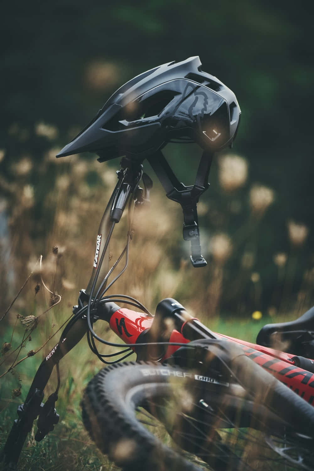 Mountain Bike 桌布 壁紙 — 一個黑色登山車頭盔掛在一輛紅色自行車的把手，周圍是陽光照耀的草地和模糊的野花。