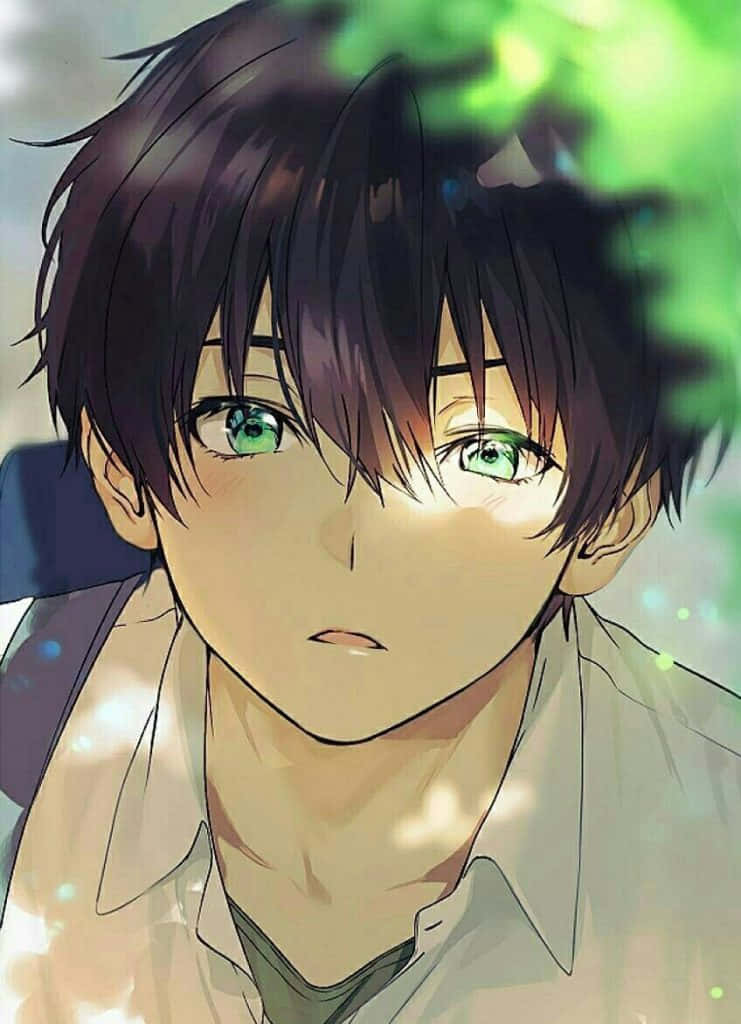 動漫男孩 桌布 壁紙 — 一個黑髮、擁有鮮綠色眼睛的動漫男孩特寫，透過綠葉間篩落的斑駁陽光溫柔地凝視著。