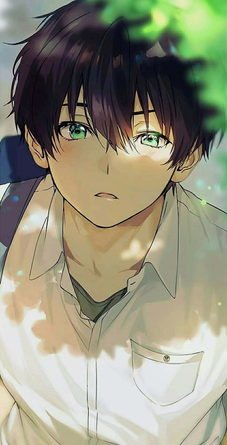 Cute Anime Boy 桌布 壁紙 — 一個黑髮、擁有鮮綠色眼睛的動漫男孩特寫，在透過綠葉篩落的斑駁陽光下溫柔凝視。