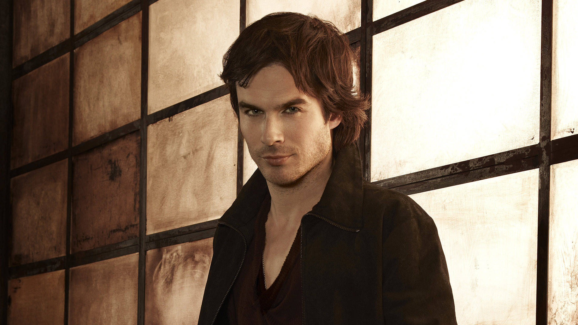 The Vampire Diaries 桌布 壁紙 — 一個黑髮、眼神銳利的男人站在一個由老化半透明面板組成的網格前，沐浴在溫暖的背光中。