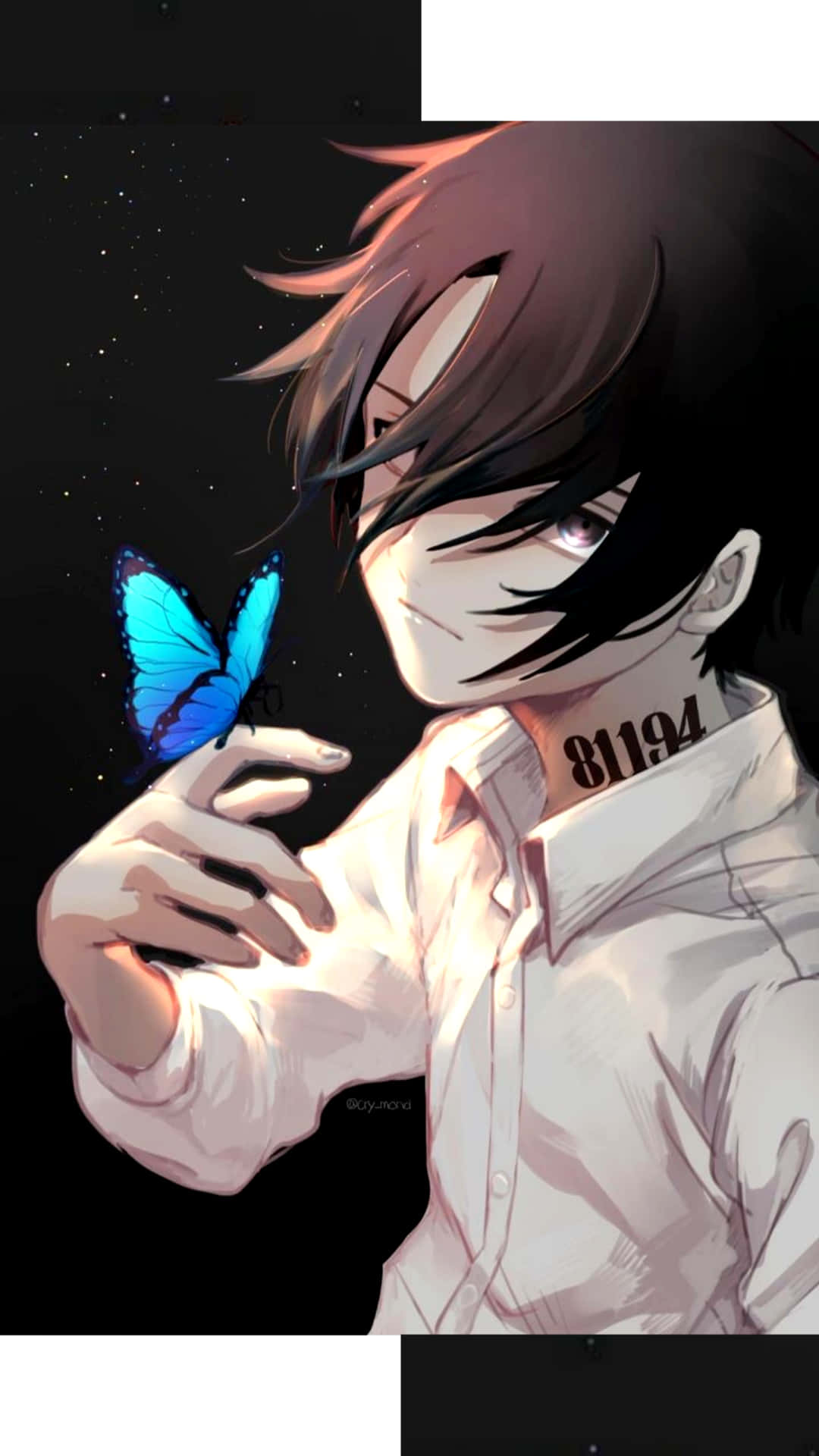 蝴蝶 桌布 壁紙 — 一個黑髮的年輕動漫男孩在繁星點點的夜空下輕輕捧著一隻發光的藍色蝴蝶。
