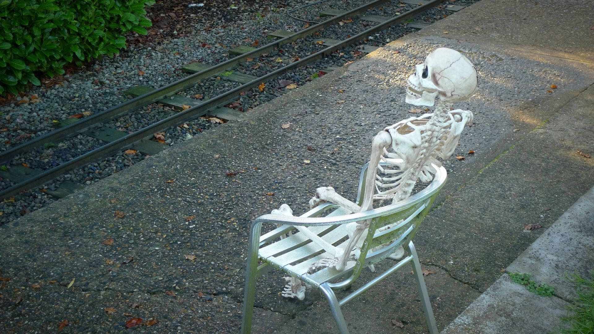 Skeleton Meme 桌布 壁紙 — 一具骷髏癱坐在鐵路軌道旁的金屬長椅上，陽光斑駁。