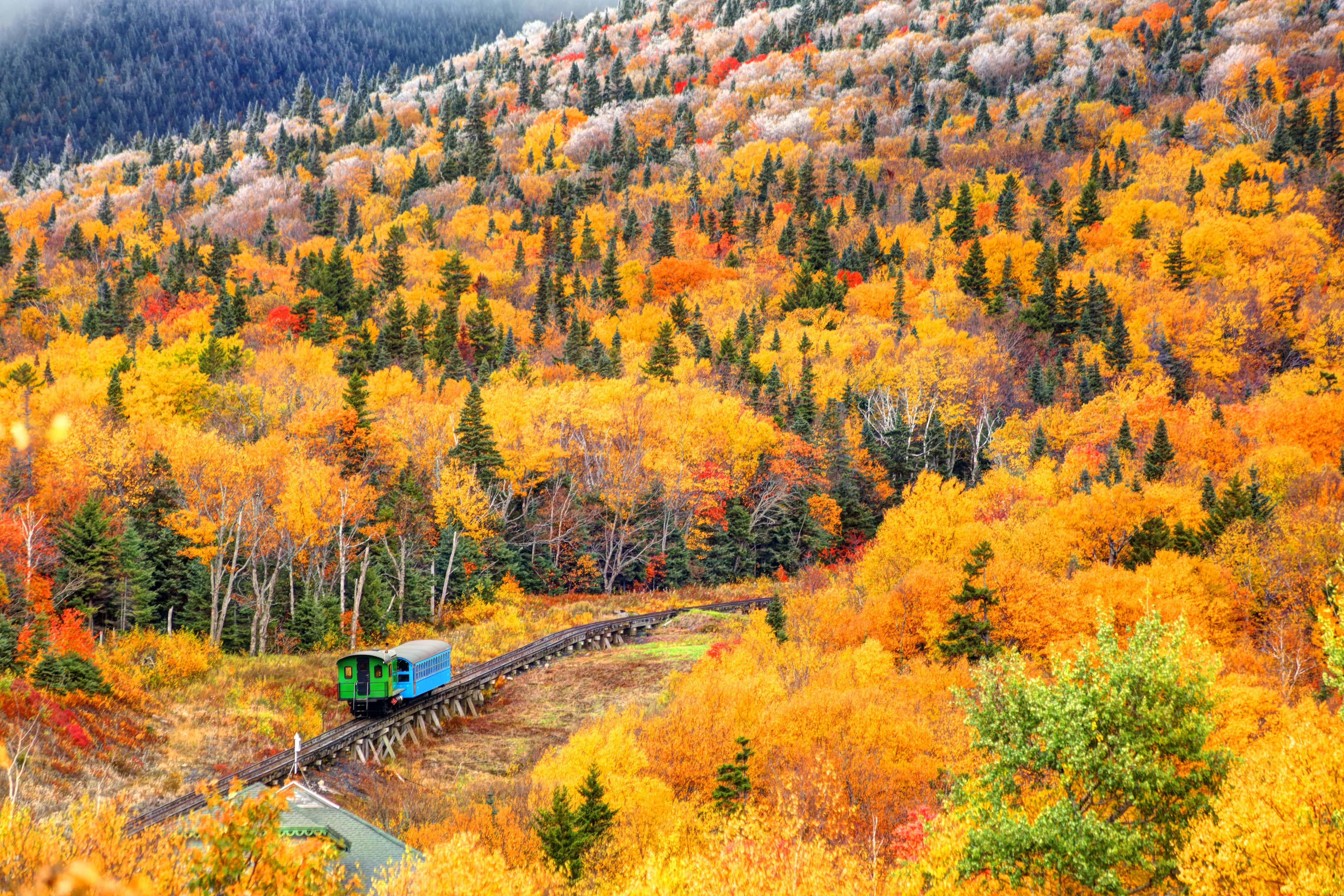 Nature Fall 桌布 壁紙 — 一列充滿活力的藍綠色火車蜿蜒穿過陡峭的山坡，山坡上覆蓋著火紅的秋葉。