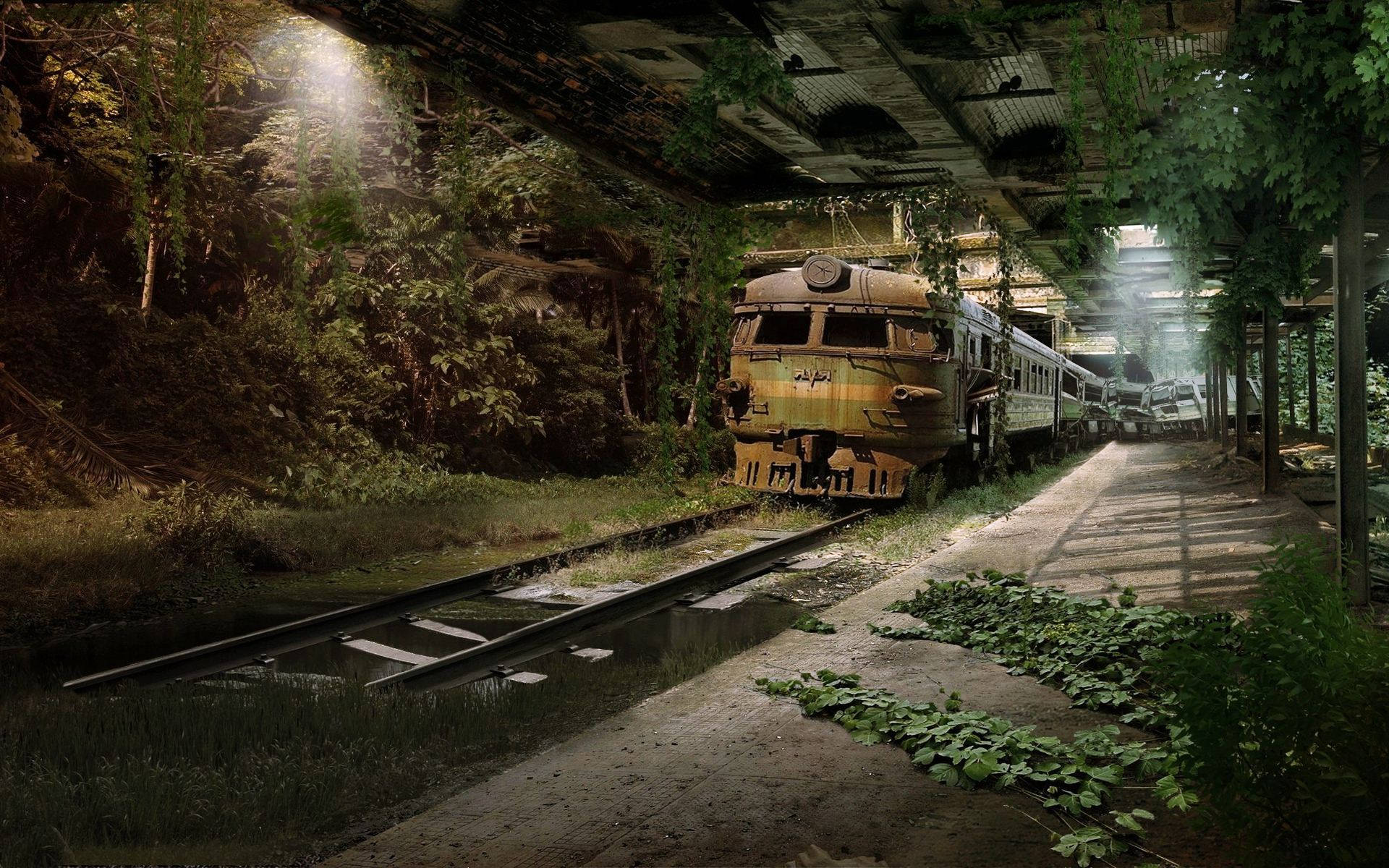 1920x1200 桌布 壁紙 — 一列廢棄的火車停放在破舊的車站簷篷下，陽光穿過茂密的樹葉灑落。