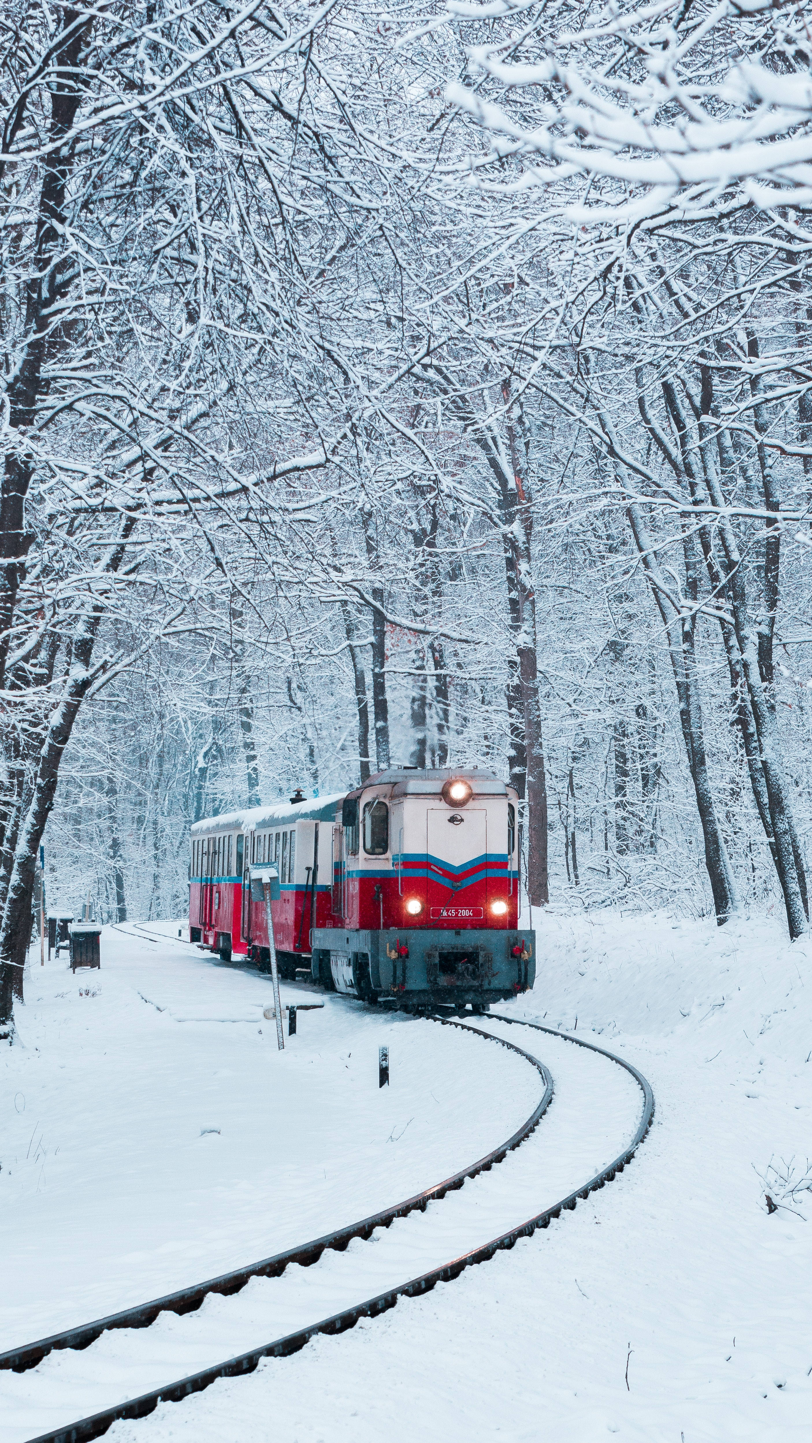 火車 桌布 壁紙 — 一列紅白相間的火車在白雪覆蓋的森林中滑行，樹枝上掛滿積雪，形成拱形。