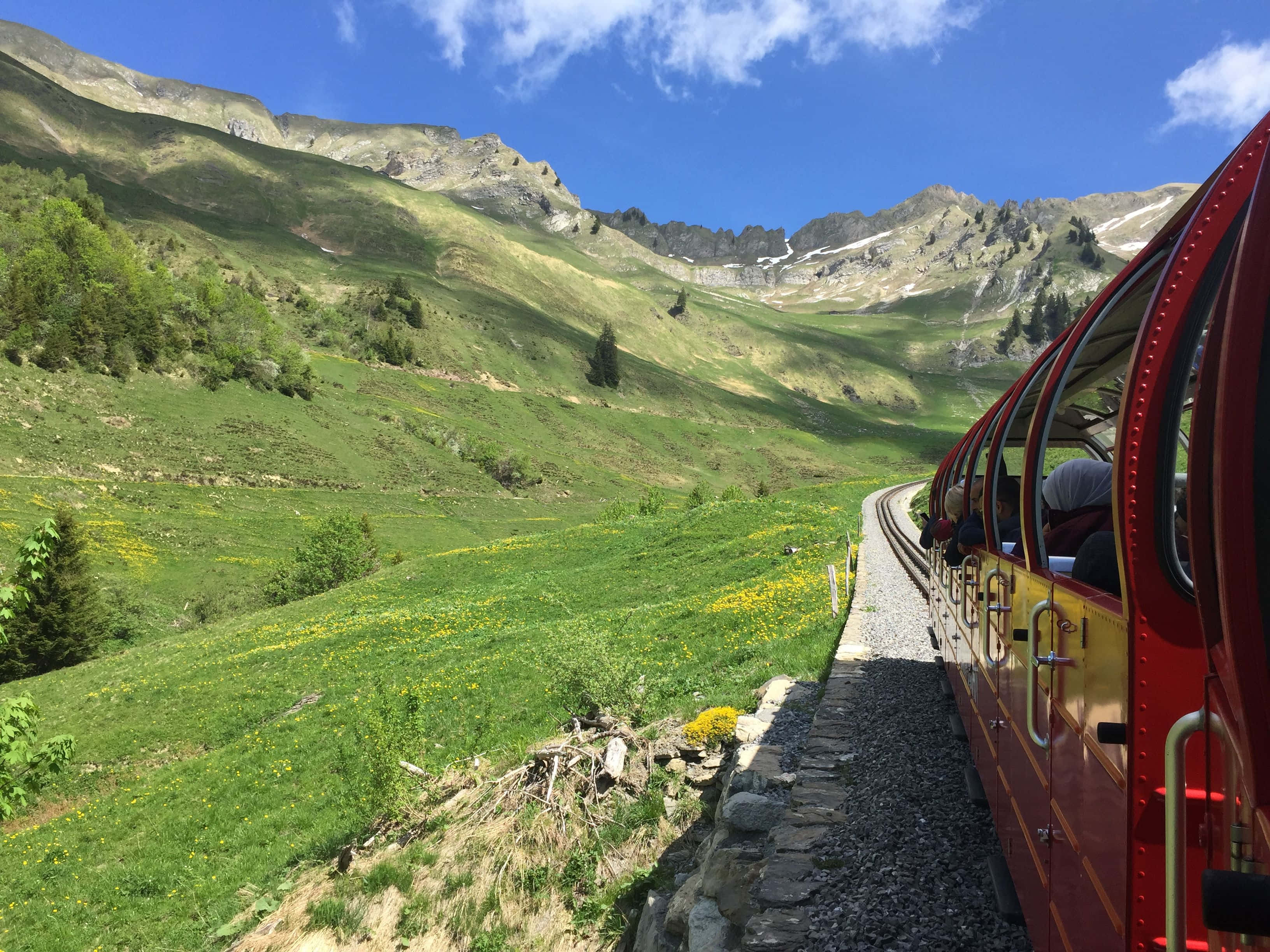 火車 桌布 壁紙 — 一列紅色火車蜿蜒穿過陽光明媚的阿爾卑斯山谷，綠色的山丘、黃色的野花和白雪覆蓋的山峰在藍天下。