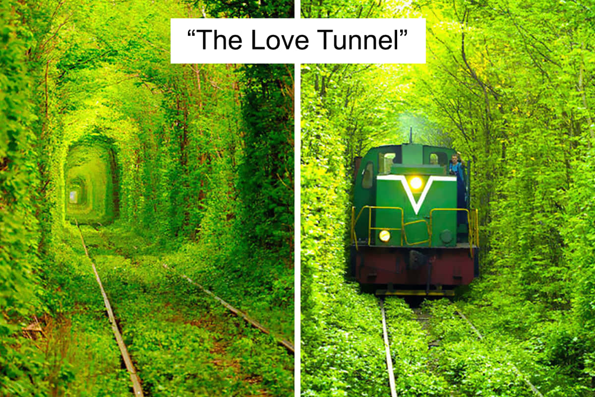 tunnel 桌布 壁紙 — 一列綠色火車從由茂密藤蔓拱起形成的翠綠隧道中駛出。
