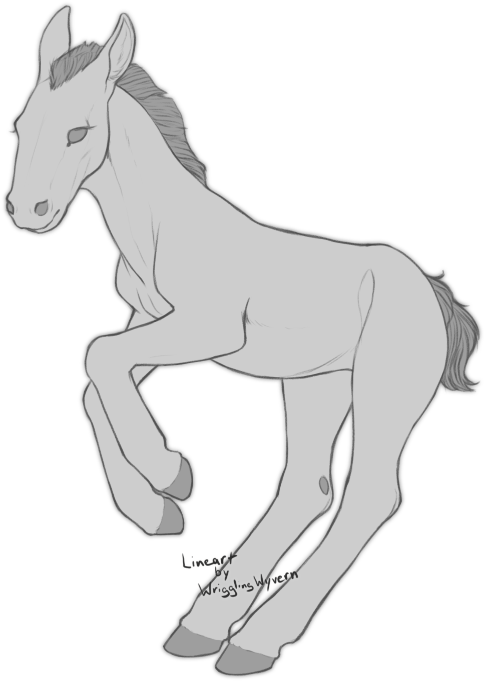 Foal 桌布 壁紙 — 一匹優雅的灰色小馬在純黑背景前以中步姿態站立，以乾淨的線條藝術呈現，帶有微妙的陰影。