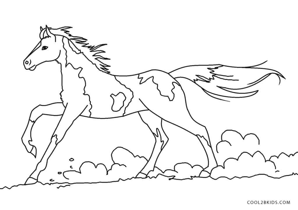 Horse Coloring 桌布 壁紙 — 一匹奔跑的馬的動態黑白線條畫，鬃毛和尾巴飄逸，下方是風格化的地面。