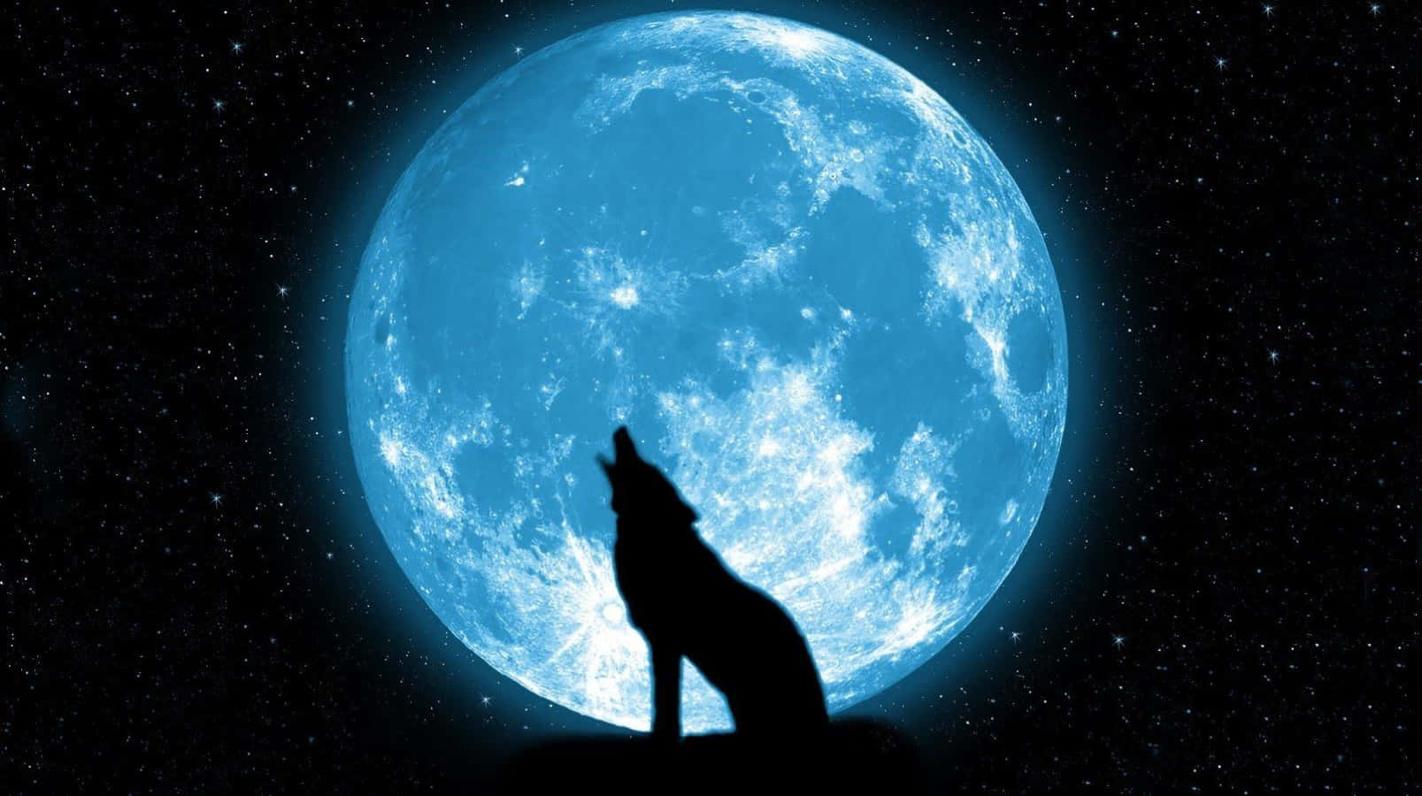 3d Wolf 桌布 壁紙 — 一匹孤狼剪影，映襯著滿天繁星夜空中巨大發光的藍色月亮。