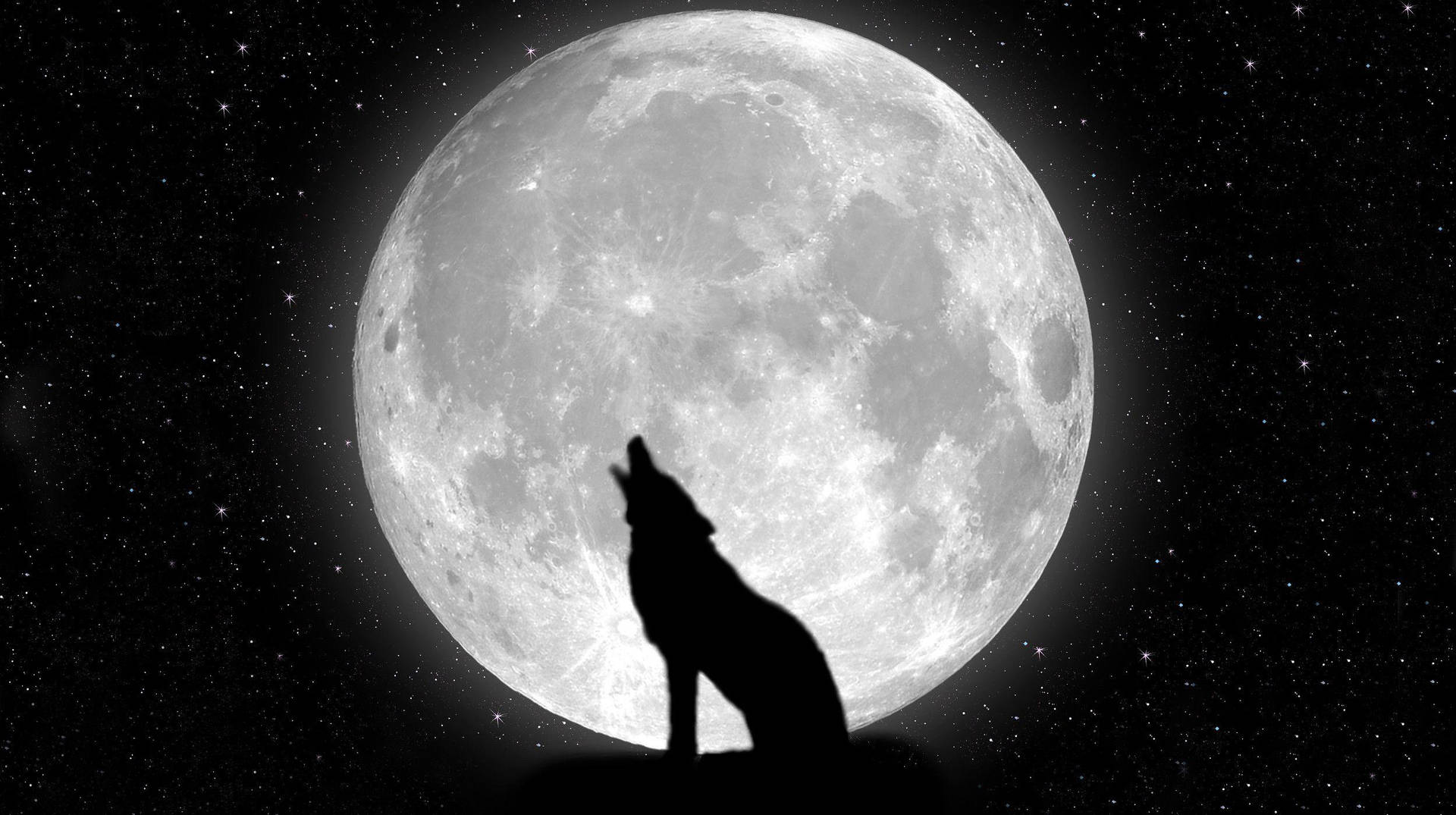 狼在星空下對著滿月嚎叫。 — 酷炫黑狼 壁紙