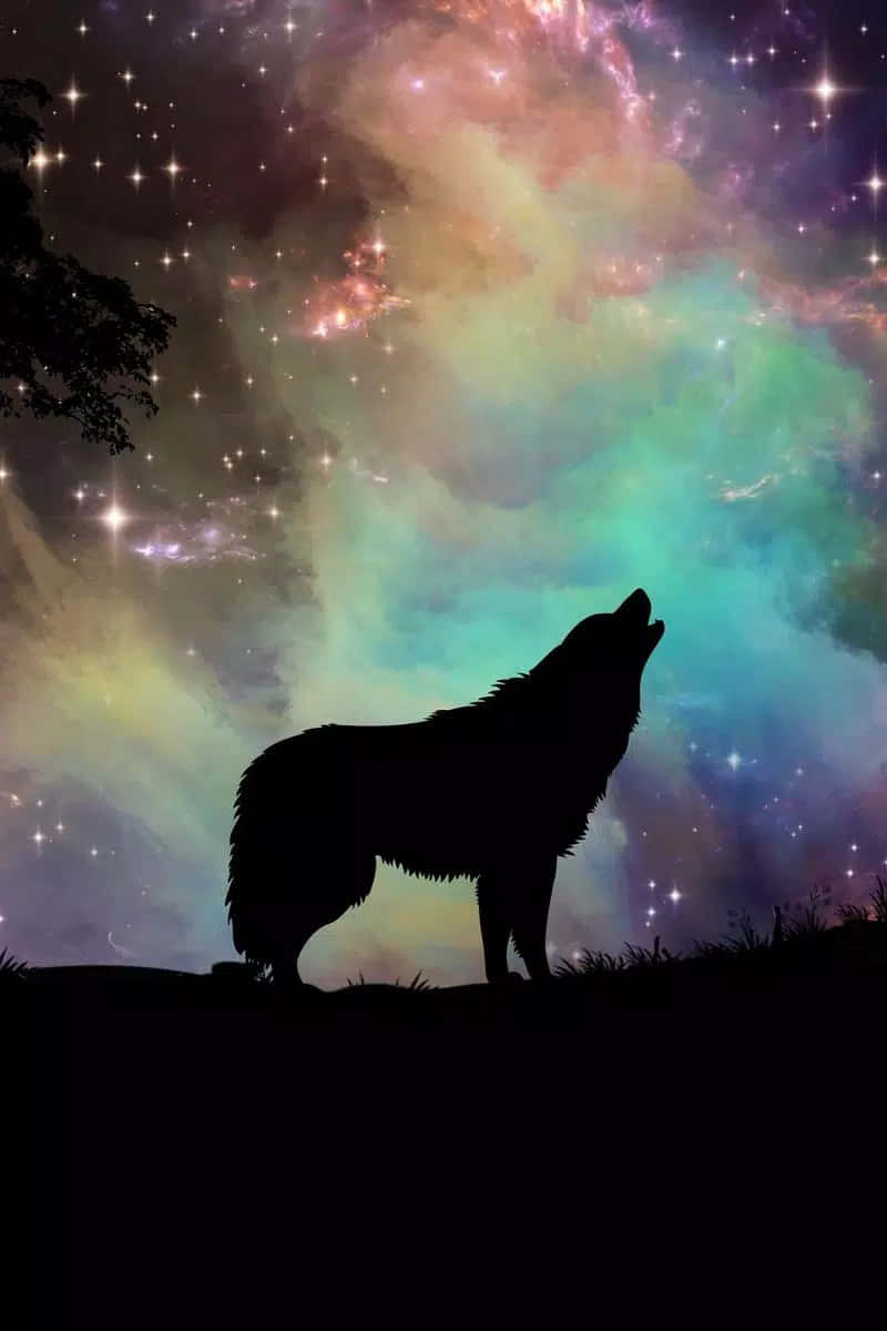 桌布 壁紙 — 一匹孤狼的剪影對著充滿星星和彩色星雲的充滿活力的宇宙天空嚎叫。