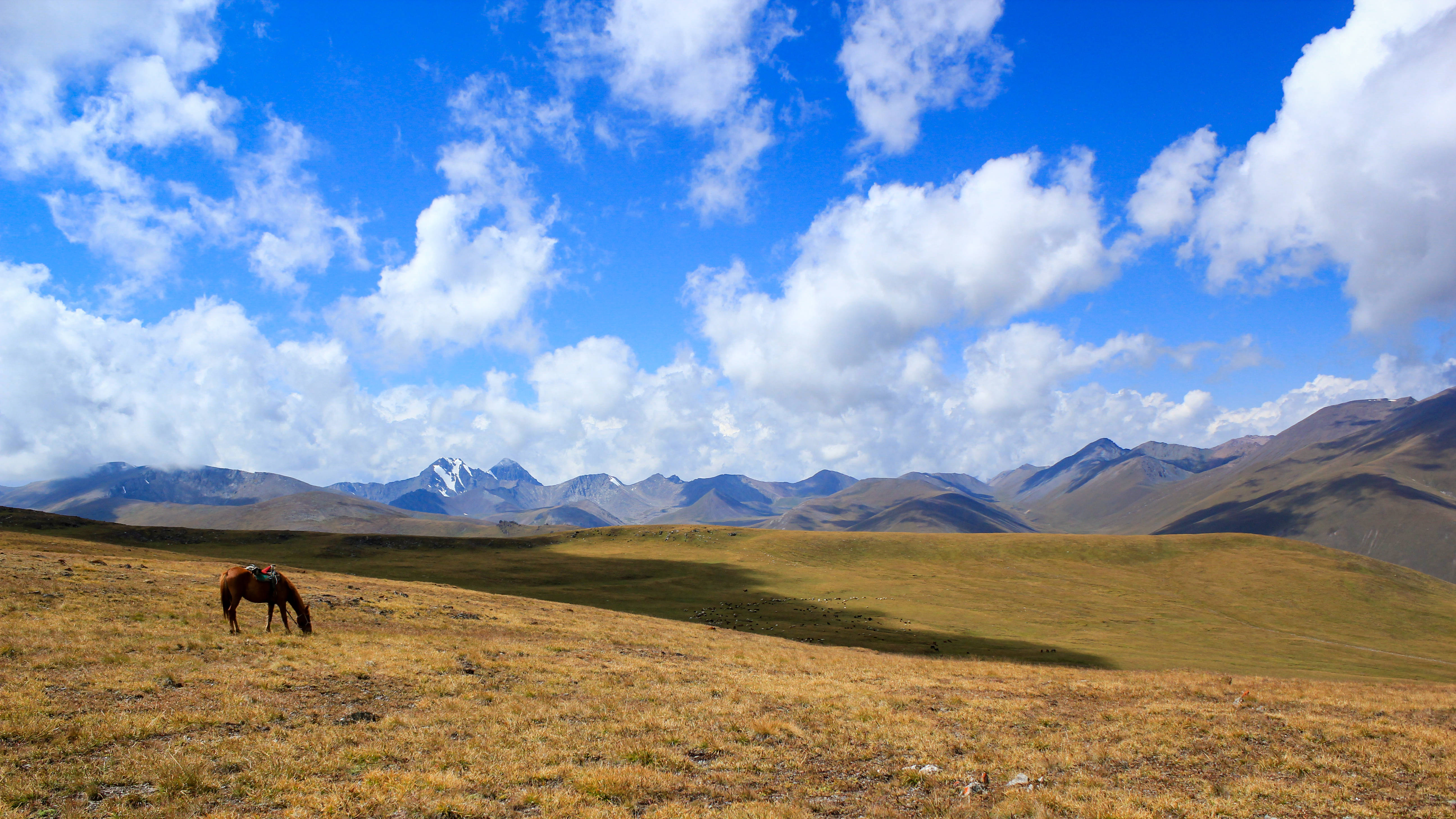 Kyrgyzstan 桌布 壁紙 — 一匹孤獨的棕色馬在金色草地上吃草，背景是廣闊的藍天、蓬鬆的白雲和遠處的雪山。