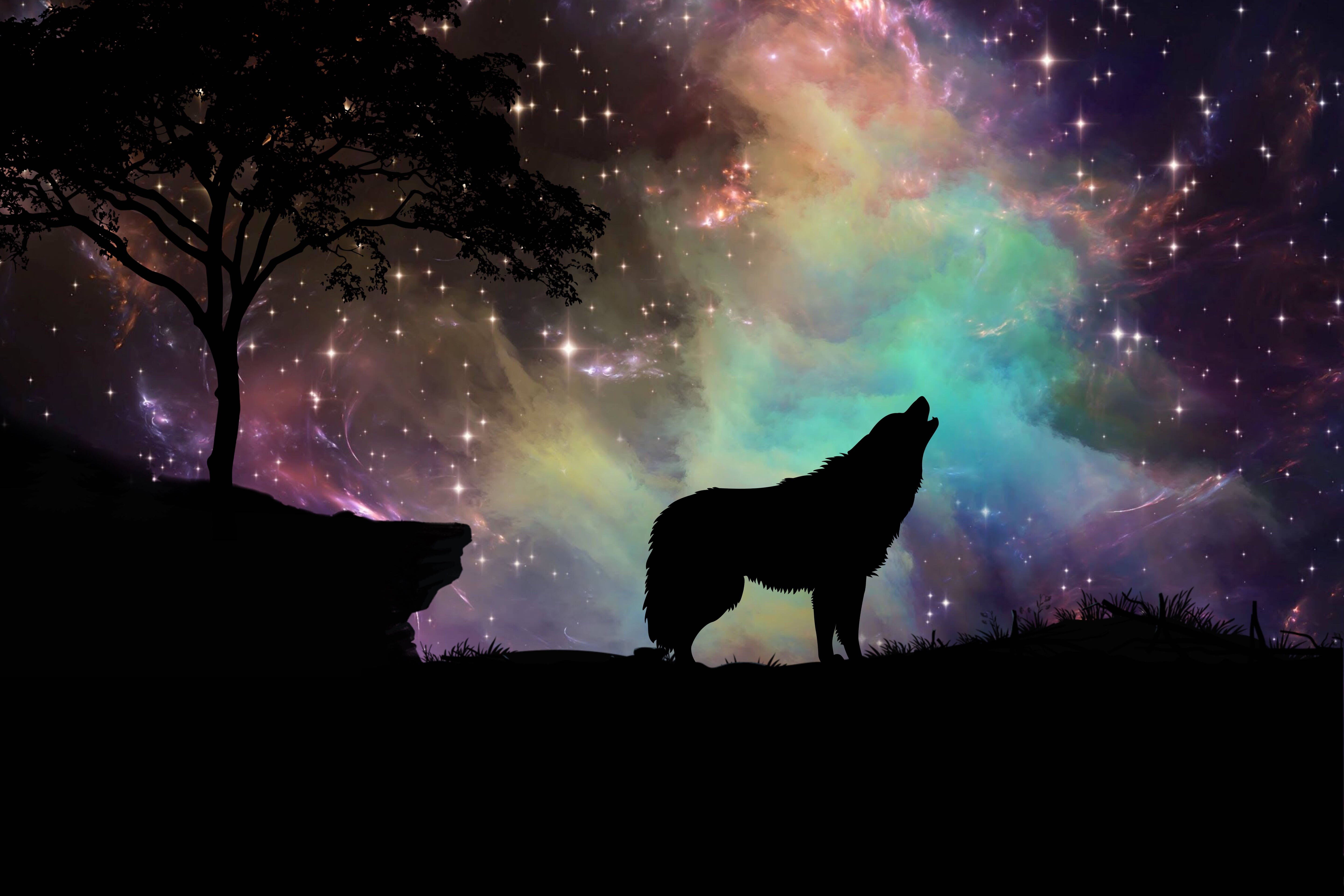 HD Wolf 桌布 壁紙 — 一匹孤獨的狼在孤樹下對著充滿星星和彩色星雲的充滿活力的宇宙天空嚎叫。