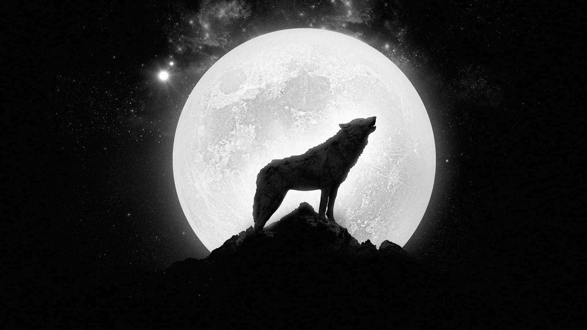 Epic Wolf 桌布 壁紙 — 一匹孤獨的狼在岩石山峰頂上對著巨大的紋理月亮和星空夜空嚎叫。