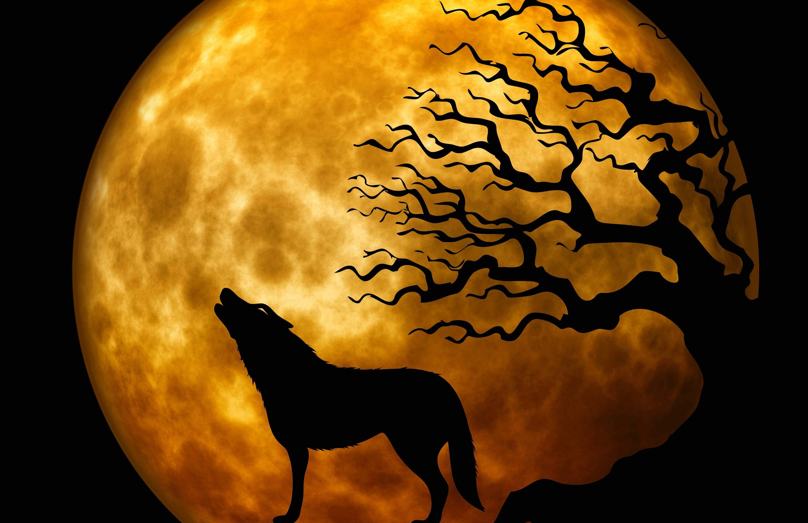 HD Wolf 桌布 壁紙 — 一匹孤獨的狼對著一個由骷髏般的樹影框住的發光橙色滿月嚎叫。
