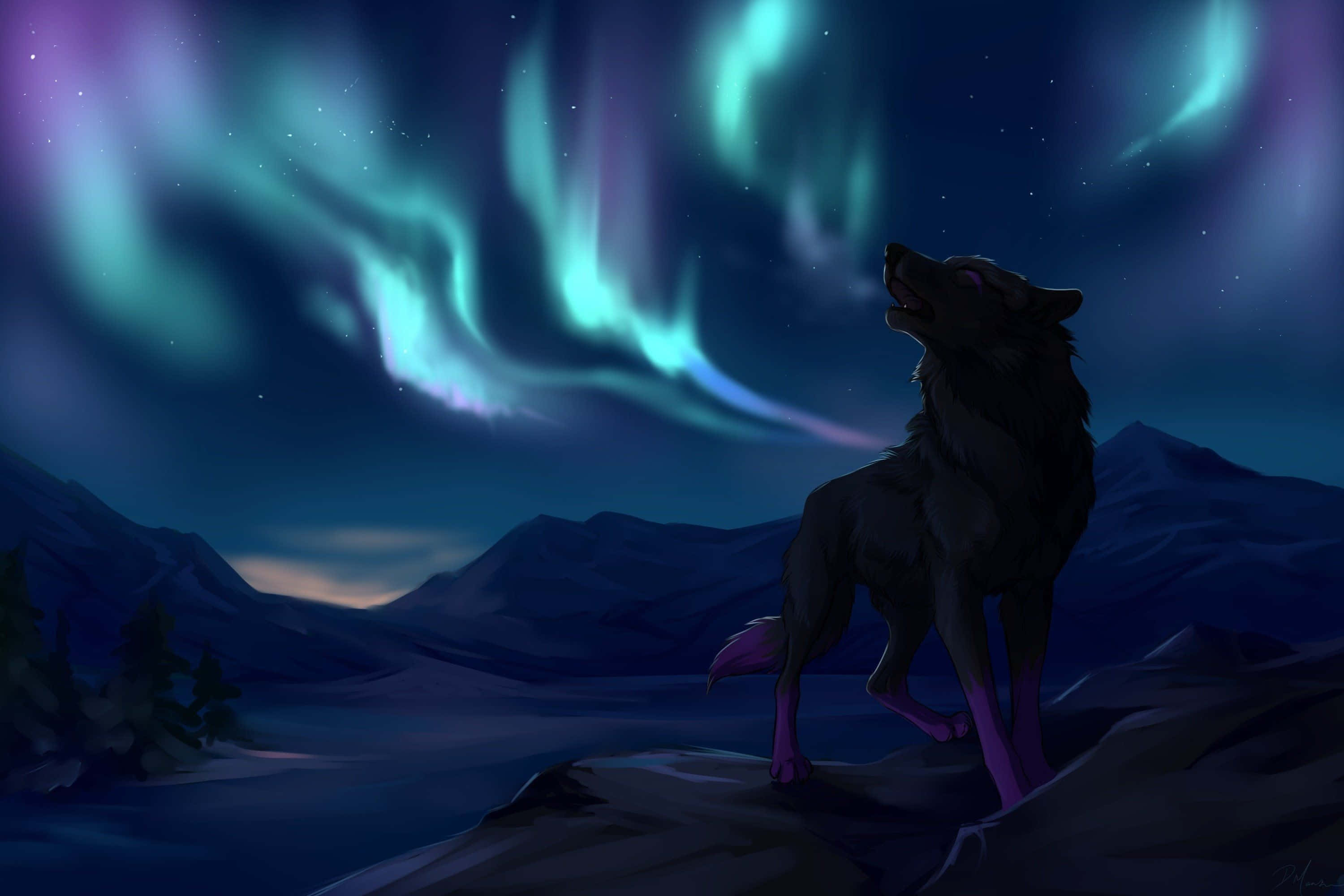 Cool Anime Wolf 桌布 壁紙 — 一匹孤獨的狼對著在夜晚山景上舞動的鮮綠色和紫色極光嚎叫。