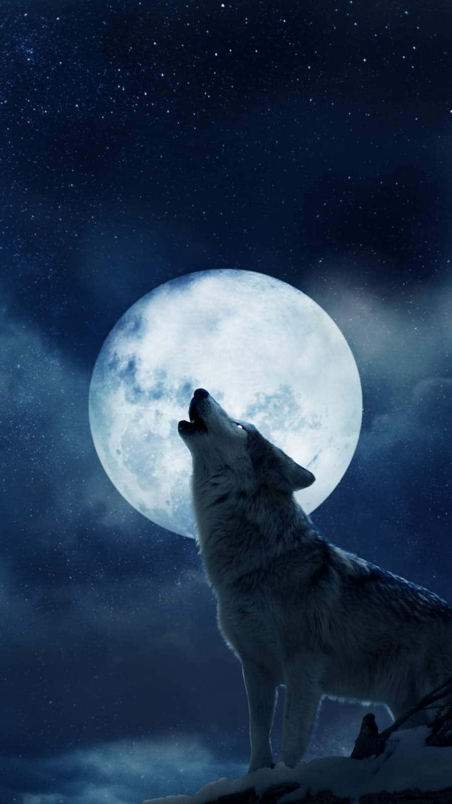 月光 桌布 壁紙 — 一匹孤獨的狼對著廣闊星空中的巨大滿月嚎叫。