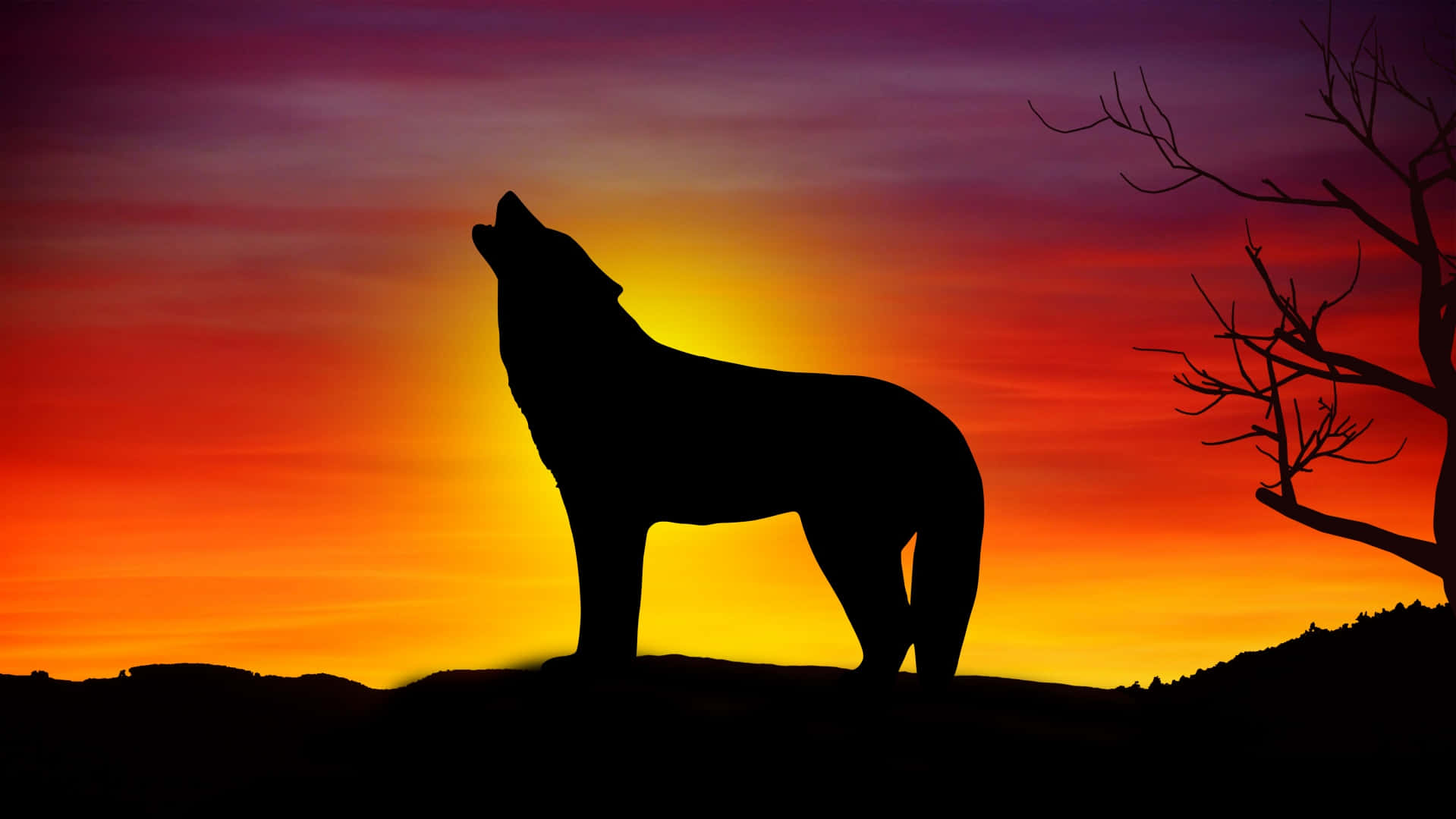 Wolf Silhouette 桌布 壁紙 — 一匹孤獨的狼對著火紅的日落天空嚎叫，右側有光禿禿的樹枝剪影。