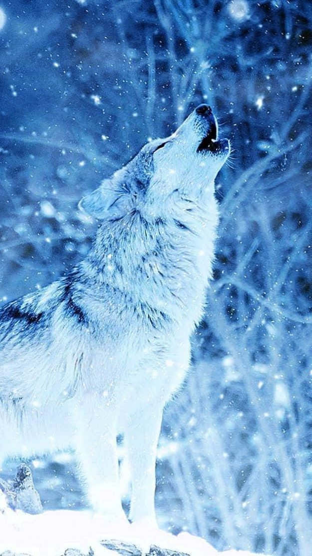 Wolf In Snow 桌布 壁紙 — 一匹孤獨的狼對著雪藍色的冬季背景向上嚎叫，背景有飄落的雪花和光禿禿的樹木。