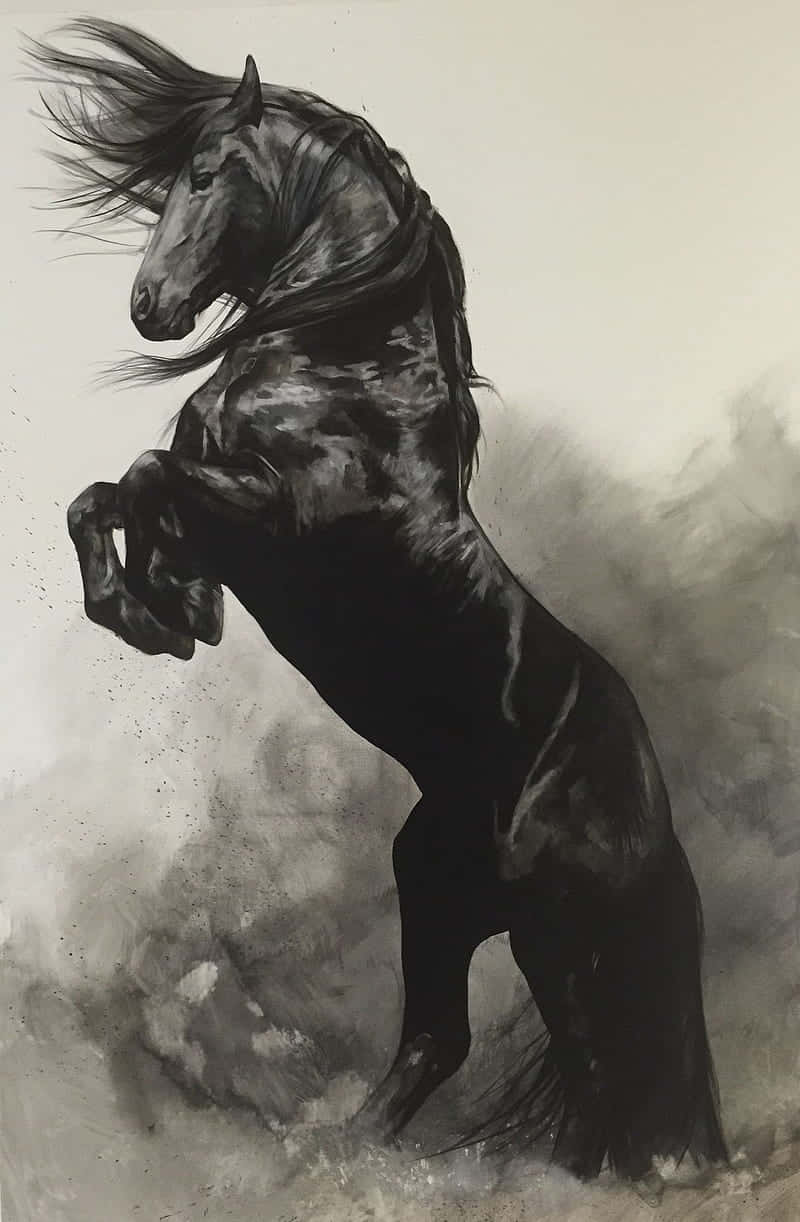 Mustang Horse 桌布 壁紙 — 一匹強壯的黑馬在煙霧瀰漫的灰色背景中戲劇性地揚起前蹄，鬃毛飄揚，蹄邊塵土飛揚。