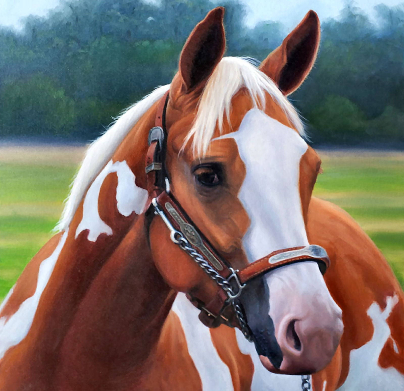 Horse Face 桌布 壁紙 — 一匹栗色和白色斑點馬的特寫肖像，戴著精細的韁繩，背景是柔焦的綠色田野和森林。