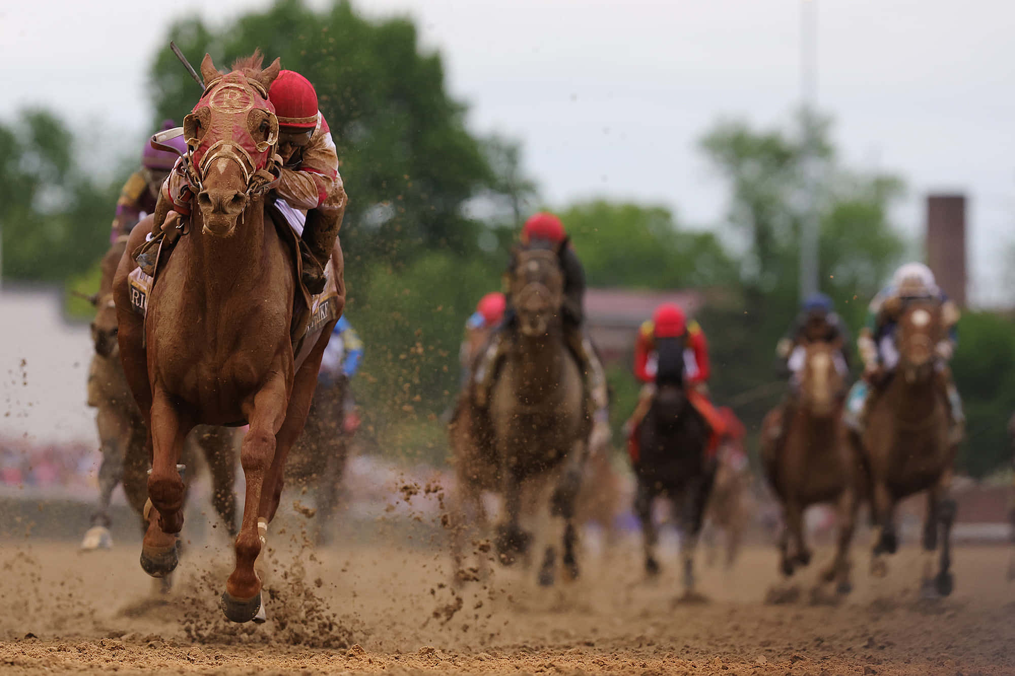 Horse Riding 桌布 壁紙 — 一匹栗色賽馬，騎師戴著紅色頭盔，在泥地賽道上猛烈奔馳，踢起塵土，身後有競爭對手在比賽。