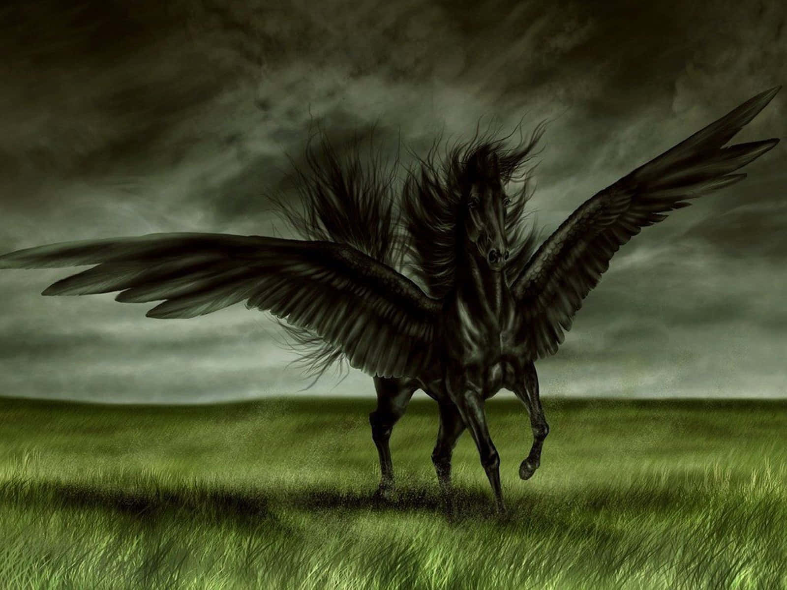 Black Horse 桌布 壁紙 — 一匹深色有翼馬在暴風雨灰天下奔馳過綠色田野。