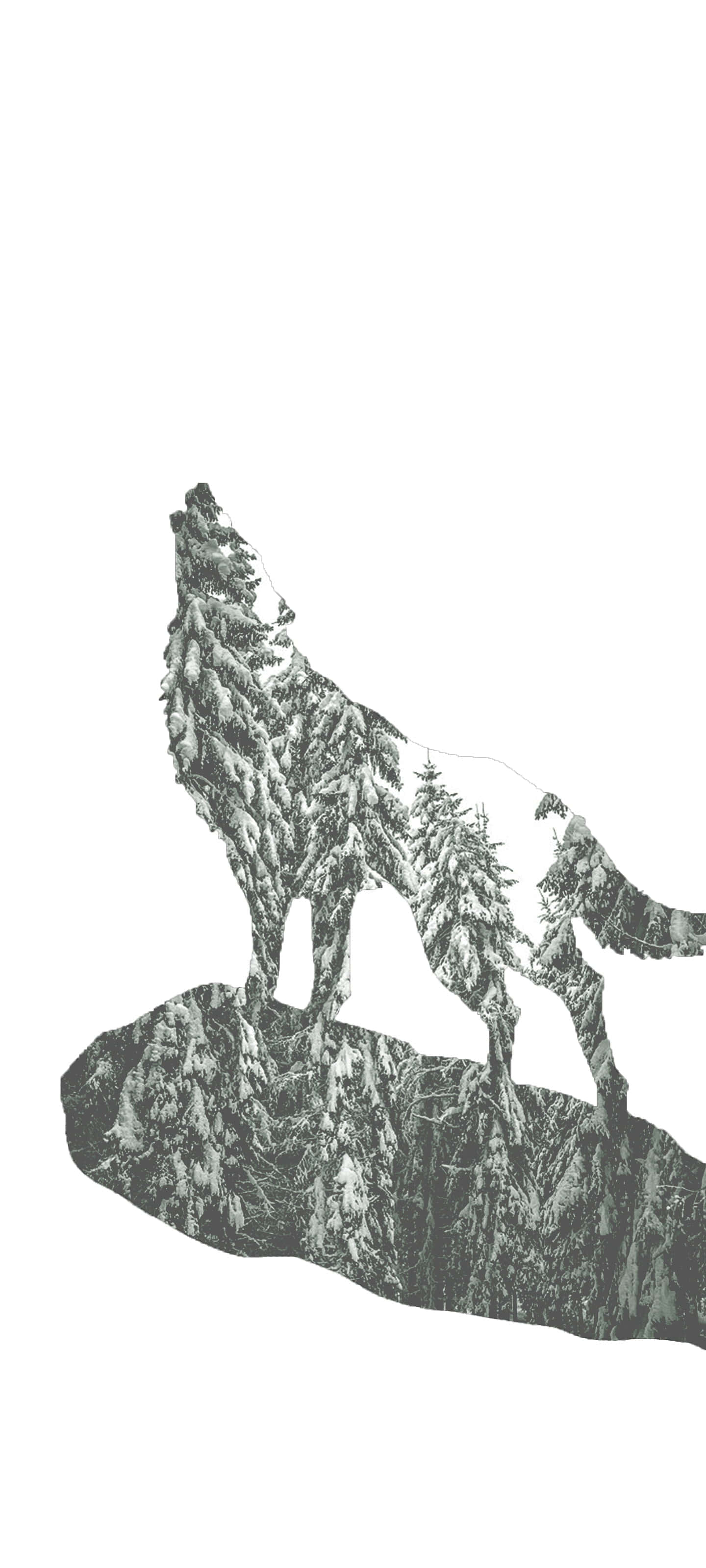 Wolf Minimalist 桌布 壁紙 — 一匹狼在白雪覆蓋的山頂上嚎叫，其剪影充滿了茂密的松樹，背景是純白色。