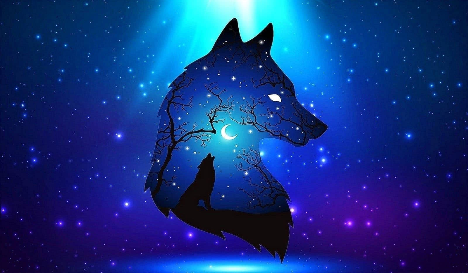 狐狸 桌布 壁紙 — 一匹狼的剪影，背景是繁星點點的夜空，頭部內有新月和光禿禿的樹木。