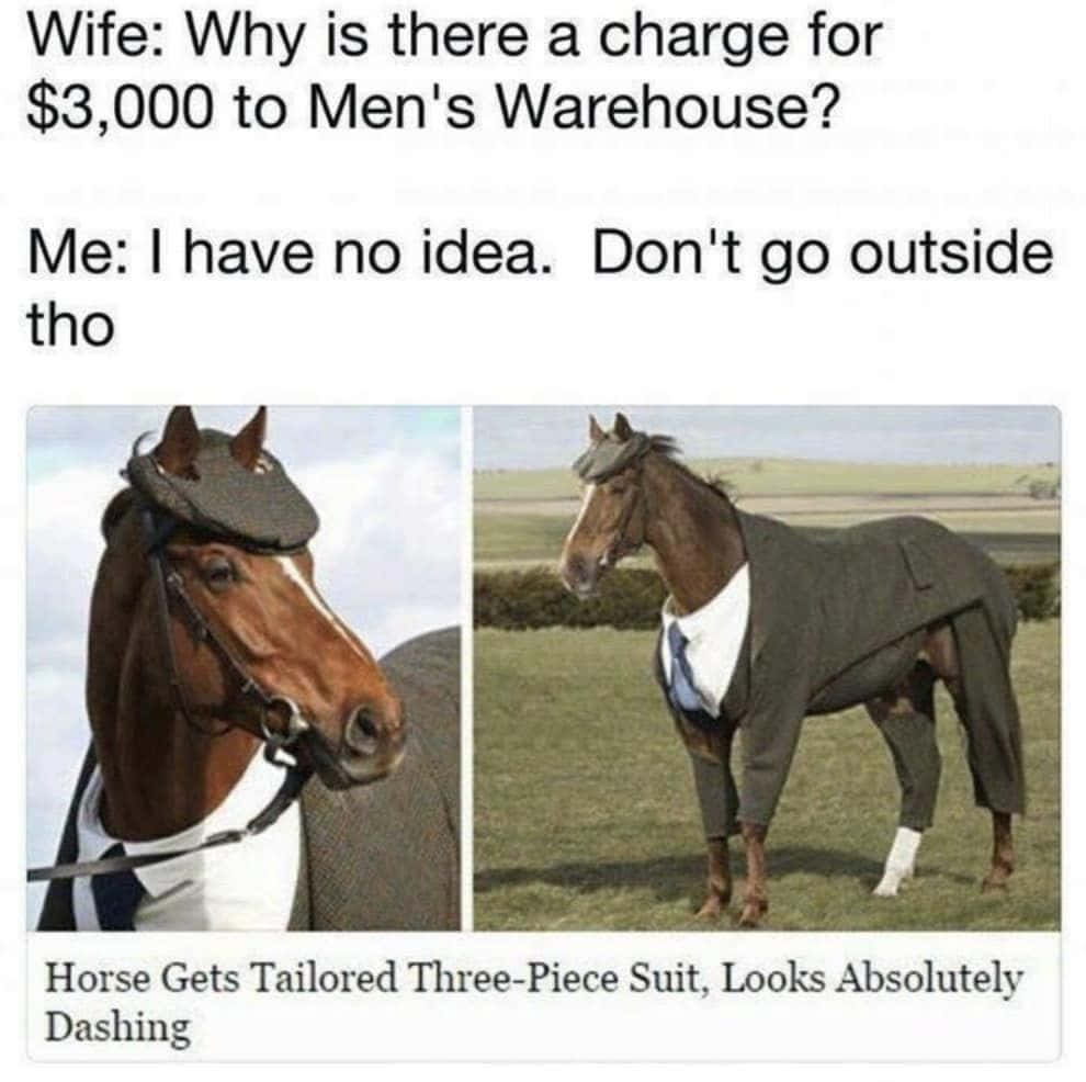 Pet Memes 桌布 壁紙 — 一匹穿著訂製三件套西裝和領帶的馬，站在多雲天空下的草地上。