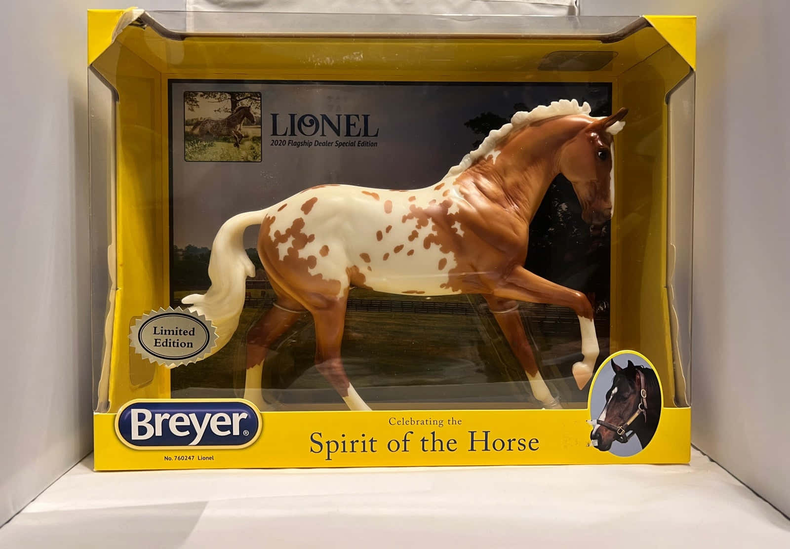 Appaloosa Horse 桌布 壁紙 — 一匹細節豐富的Breyer模型馬，擁有棕色和白色斑點毛皮，展示在其黃色Lionel收藏盒中。