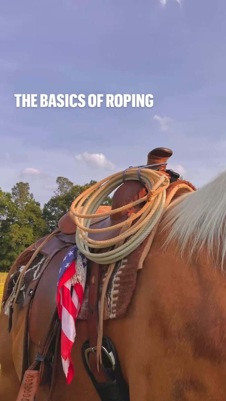 Roping 桌布 壁紙 — 一匹裝上馬鞍的馬的特寫，背上搭著一條盤繞的繩索和美國國旗，背景是晴朗的藍天。