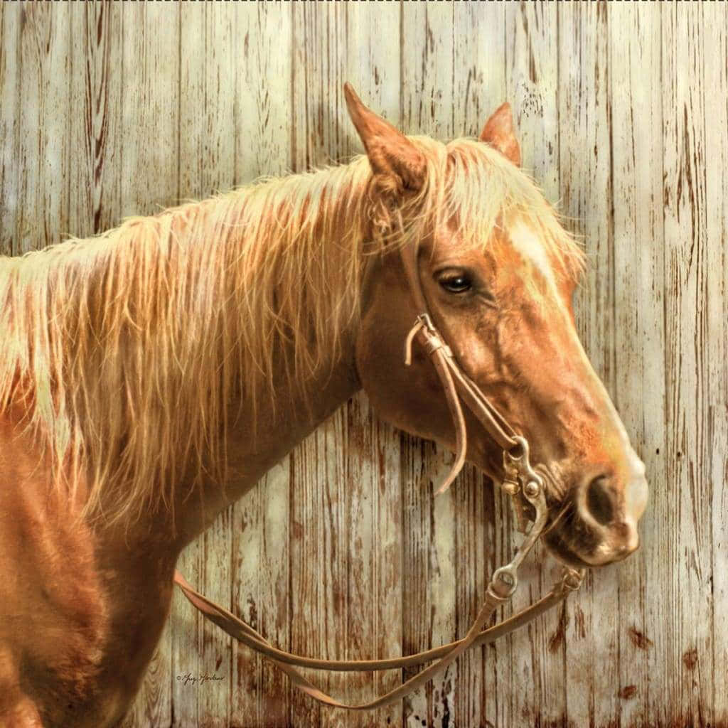 Palomino Horse 桌布 壁紙 — 一匹金色帕洛米諾馬，鬃毛飄逸，戴著皮韁繩，平靜地站在風化的木柵欄旁。