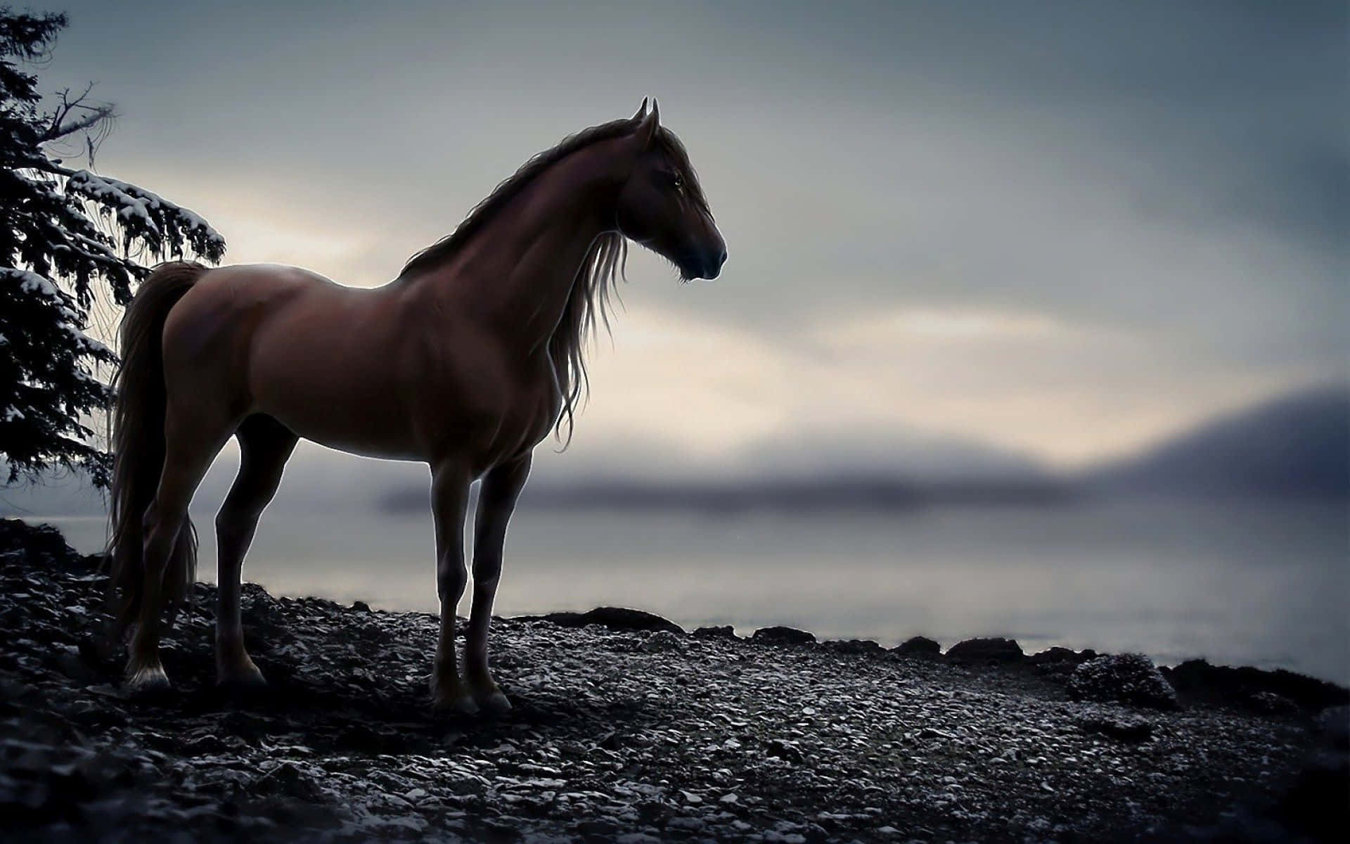 Cool Horse 桌布 壁紙 — 一匹雄偉的帕洛米諾馬獨自站在雪覆蓋的岩石湖岸邊，旁邊是平靜的湖泊，天空是憂鬱的暮色。