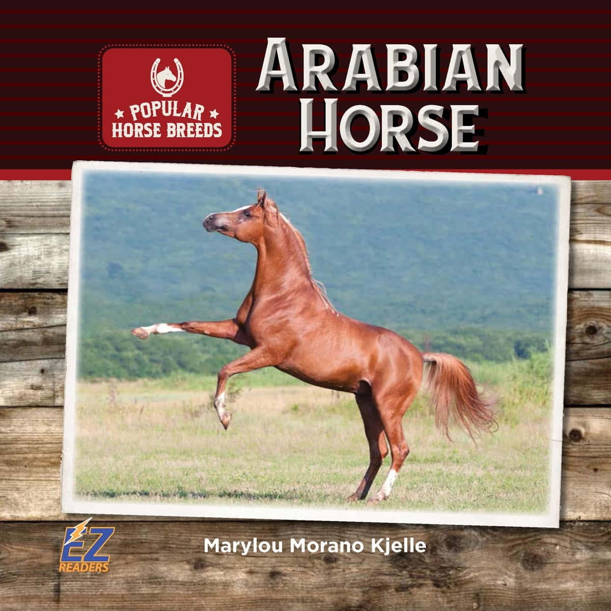 Arabian Horse 桌布 壁紙 — 一匹雄偉的栗色阿拉伯馬在陽光明媚的田野中優雅地揚起前蹄，背景是質樸的木製框架。